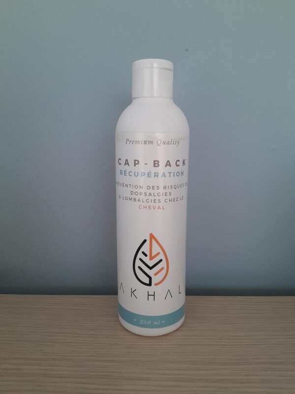 CAPBACK RECUPERATION