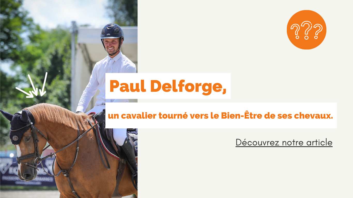 Paul Delforge, un cavalier tourné vers le bien-être de ses chevaux
